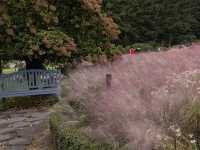 Garden of Morning Calm