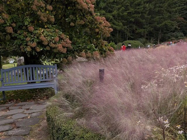 Garden of Morning Calm