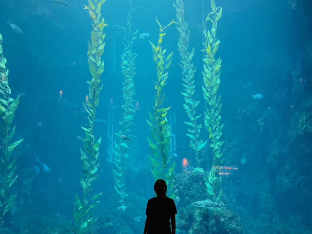屏東海生館