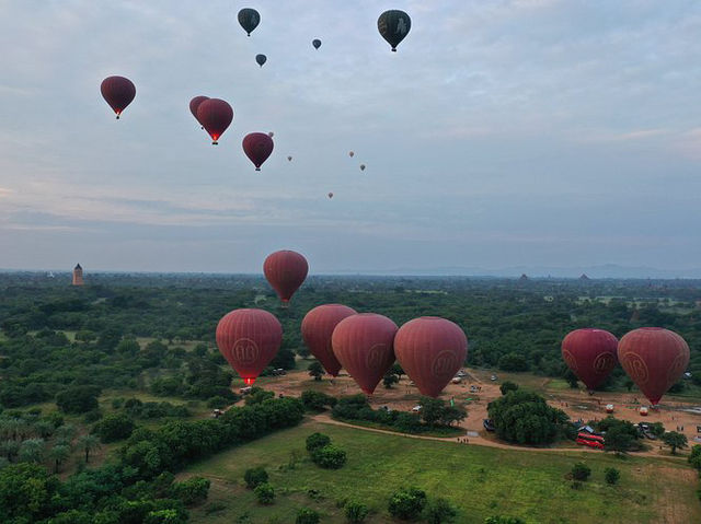 Balloons over Bagan