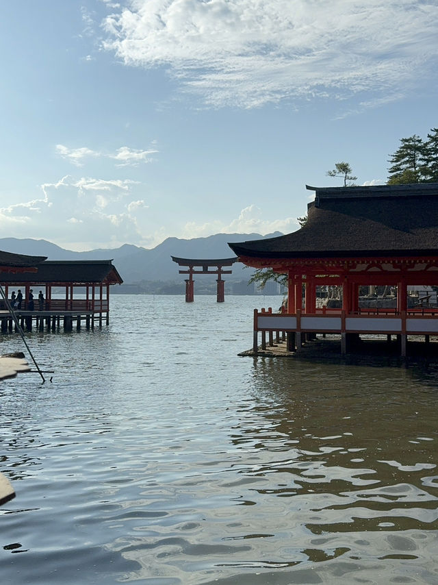 【広島】日本三景 厳島神社⛩｜宮島