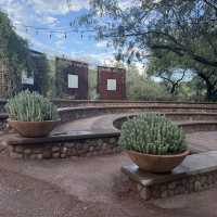 Desert Botanical Garden