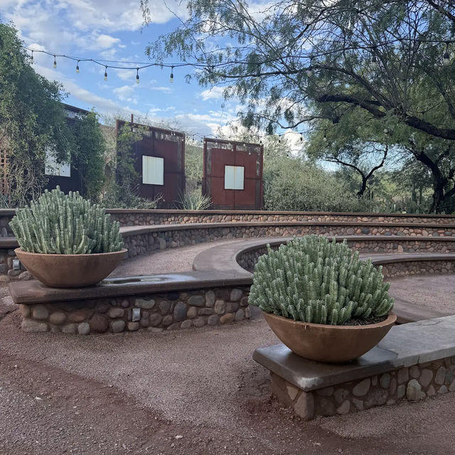 Desert Botanical Garden