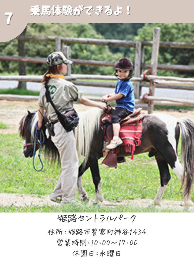 【兵庫】秋に行きたいスポット7選