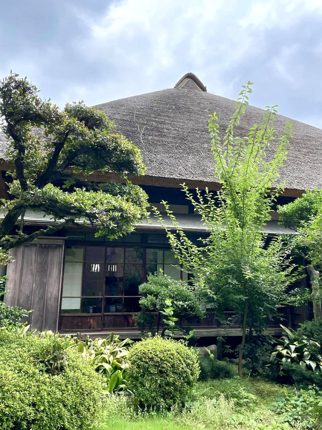 🏯 Setagaya Daikan Yashiki — Echoes of Edo 🏯 Setagaya Daikan Yashiki — Echoes of Edo