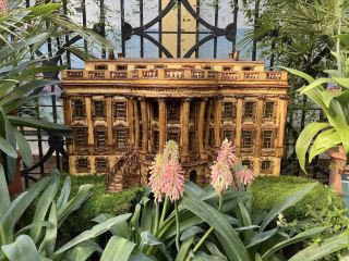 สวนพฤกษศาสตร์แห่งสหรัฐอเมริกา