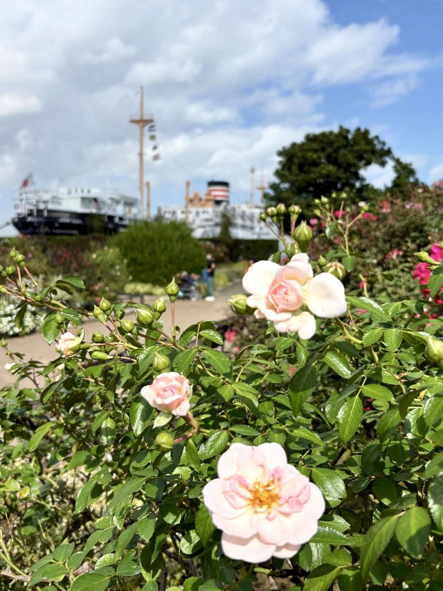 🌿 Nature Walk in Yokohama