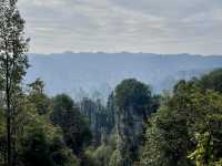 Zhangjiajie หุบเขาอวตารของจริง! วิวสุดล้ำ