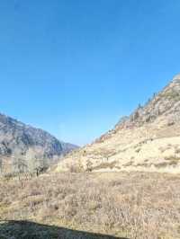 Mountains and Rivers on the Return Journey