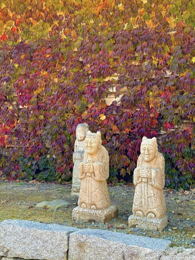 청주 단풍 명소 국립청주박물관✨