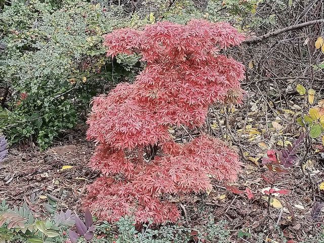 Washington Park Arboretum Washington Park Arboretum