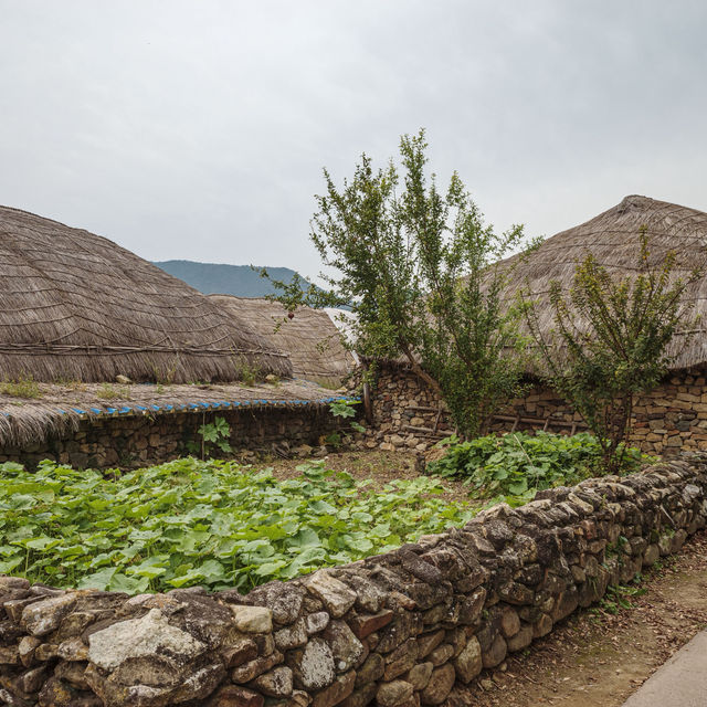 천천히 성길 오르고, 감나무 앞에서 가을 사진 한 컷 천천히 성길 오르고, 감나무 앞에서 가을 사진 한 컷