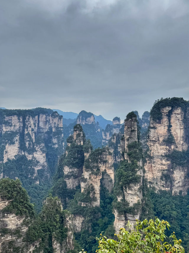 🌄 Zhangjiajie National Forest Park Travel Guide | Avatar Mountains in Real Life 🌄 Zhangjiajie National Forest Park Travel Guide | Avatar Mountains in Real Life