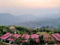 แหล่งปลูกชาชั้นดีในเชียงราย✨️