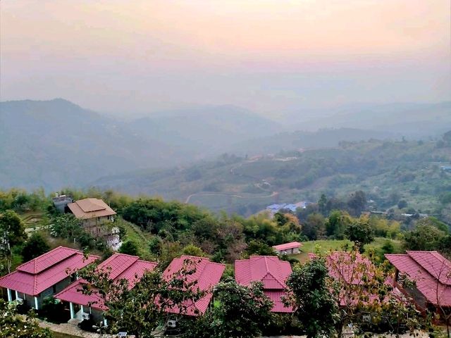 แหล่งปลูกชาชั้นดีในเชียงราย✨️