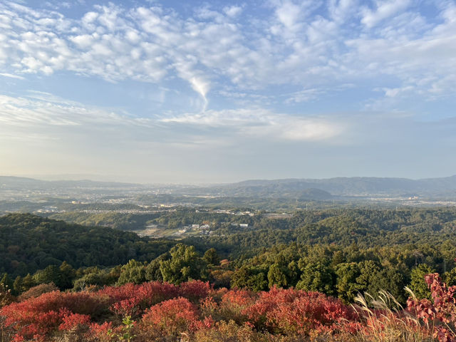 Golden Hills Nara🌅