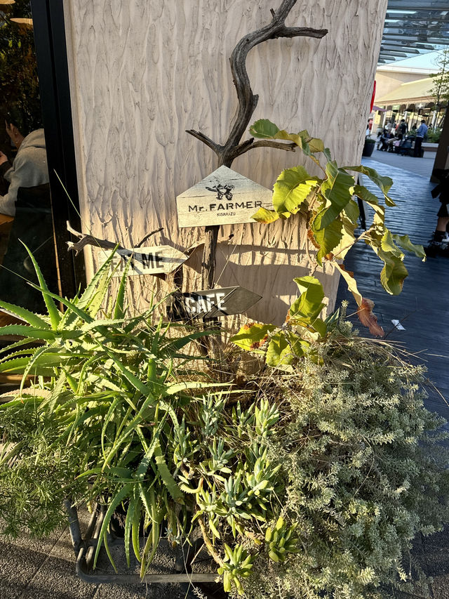 A Fresh and Healthy Lunch at Mr. Farmer A Fresh and Healthy Lunch at Mr. Farmer