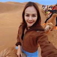 ขี่อูฐในทะเลทรายร้องเพลง