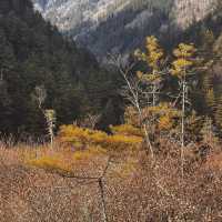 Chengdu > Huanglong > Jiuzhaigou > Chengdu 3 วัน 2