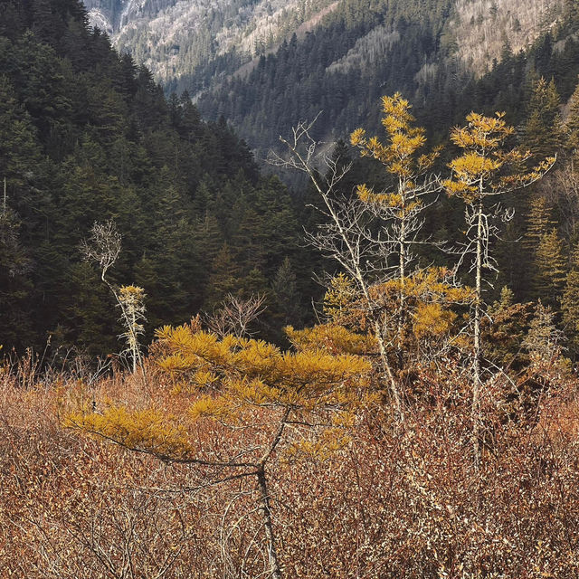 Chengdu > Huanglong > Jiuzhaigou > Chengdu 3 วัน 2