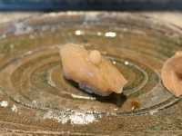 Sushi Bliss Sydney🍣 Yoshii’s Omakase