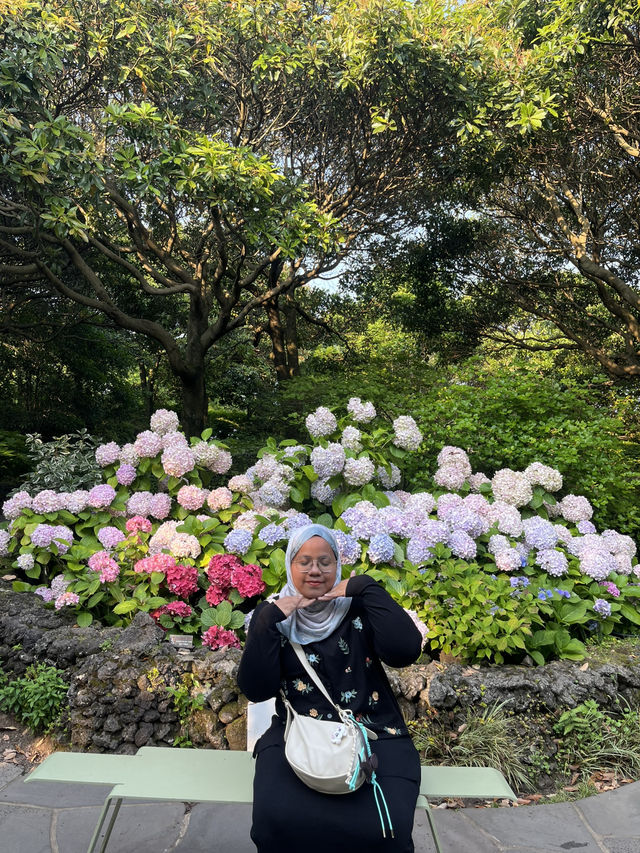 Jeju Garden Glow🌸 Jeju Garden Glow🌸