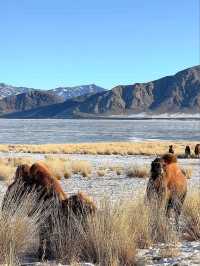 ❄️“The Frozen Pearl of Xinjiang” ❄️
