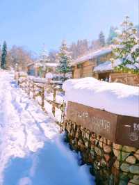 ✨ “Snowy Crown of Tianshan” ✨