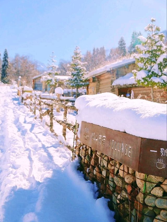 ✨ “Snowy Crown of Tianshan” ✨ ✨ “Snowy Crown of Tianshan” ✨