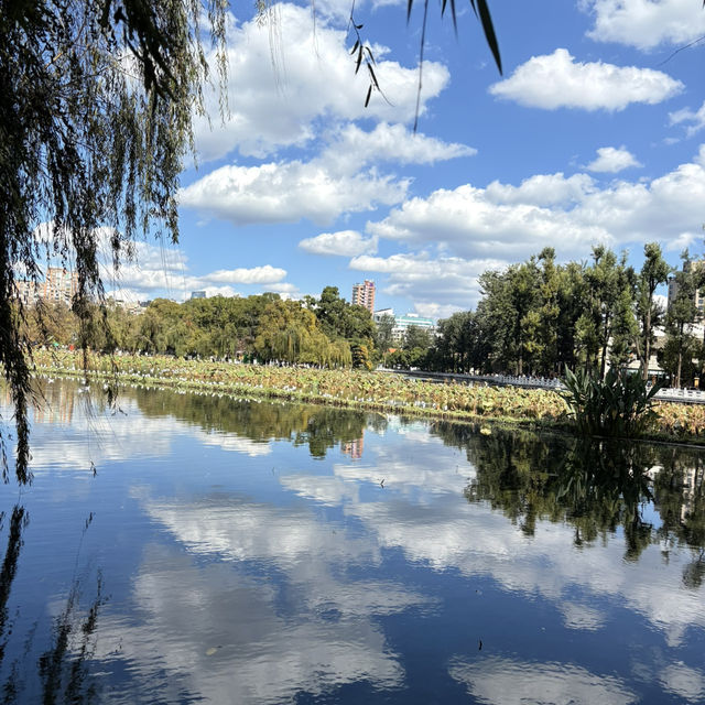 영원한 봄의 도시, 꽃이 지지않는 쿤밍