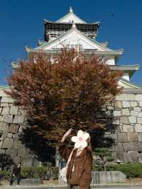 Castle Autumn Vibes🍁