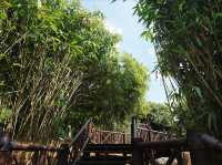 Steps Through Serenity: Putrajaya’s Bamboo-Lined Stairs