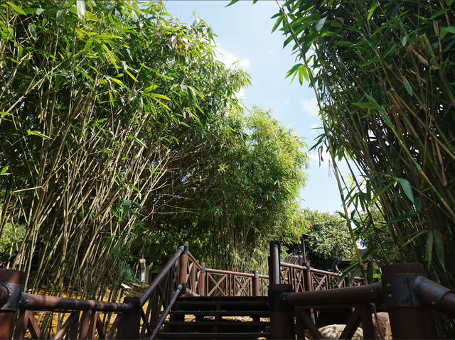 Steps Through Serenity: Putrajaya’s Bamboo-Lined Stairs
