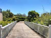 🤍Dreamy Gem Of Sydney🤍