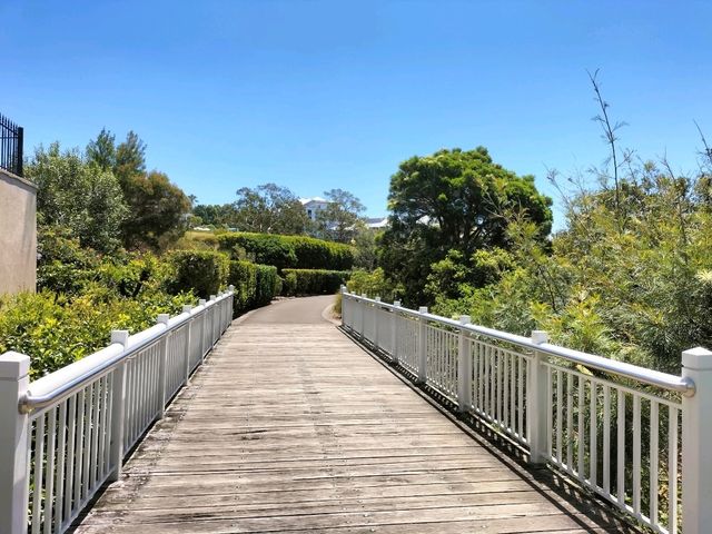 🤍Dreamy Gem Of Sydney🤍