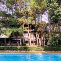 Nature-Lover’s Dream Stay: Cozy Hotel Review 🏡🌲