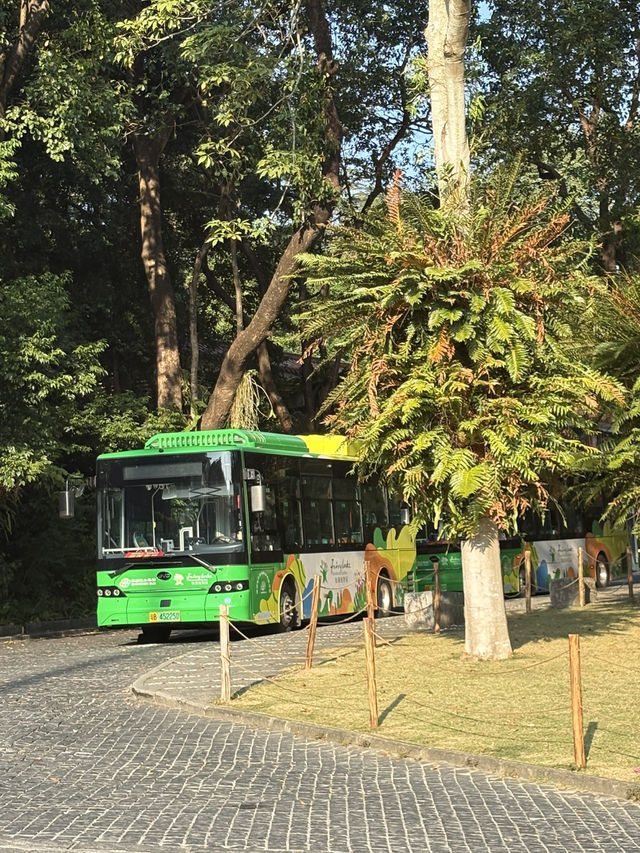 深圳仙湖弘法半日遊,自然療癒與禪意體驗 深圳仙湖弘法半日遊,自然療癒與禪意體驗