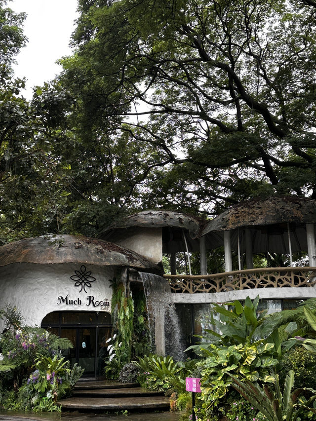 Rainforest Escape🌴 Rainforest Escape🌴