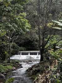 The best time to visit Mae Kampong Village is during the cool and dry seaso