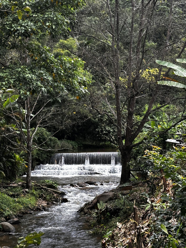 The best time to visit Mae Kampong Village is during the cool and dry seaso The best time to visit Mae Kampong Village is during the cool and dry seaso