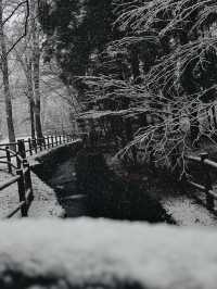 用雙眼、雙腳走進北海道的雪白世界裡