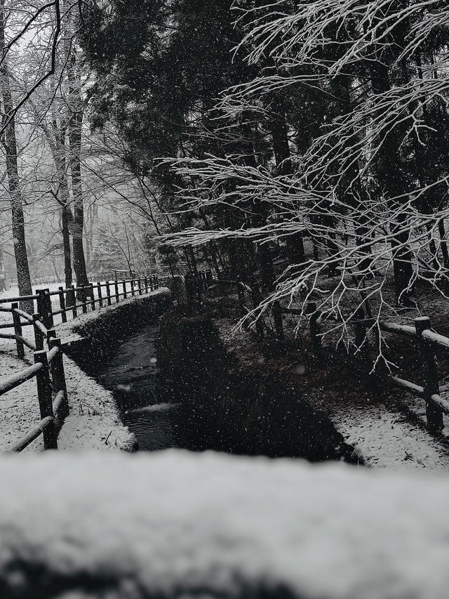 用雙眼、雙腳走進北海道的雪白世界裡