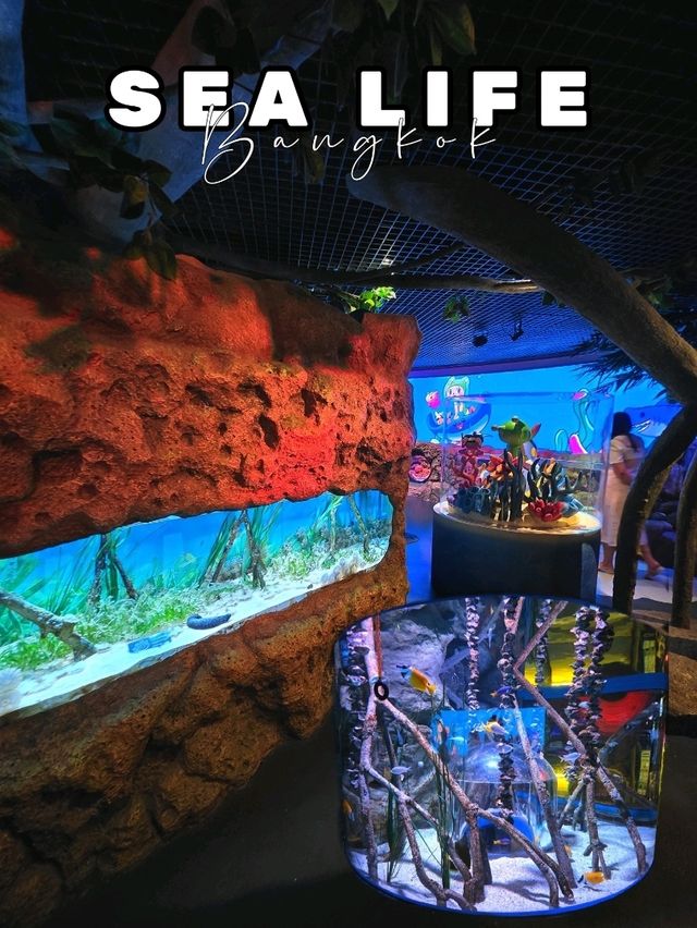 SEA LIFE  ย้อนวัยเด็กที่อควาเรียมกลางกรุง 🐠🪼🪸
