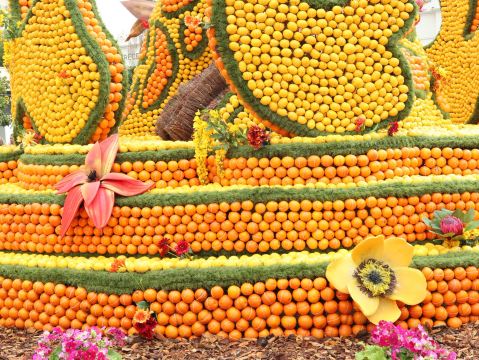 一年に一度の祭典 レモン祭り】マントン レモン祭り | Trip.com マントン