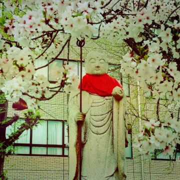 四天王寺大阪｜Trip.com 大阪
