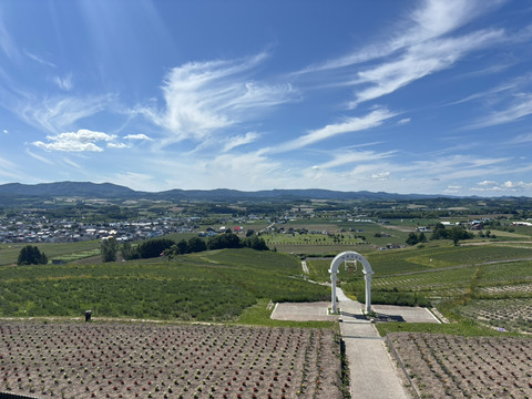 Hokkaido Kamifurano Hinode Bliss🌸 | Trip.com 上富良野町