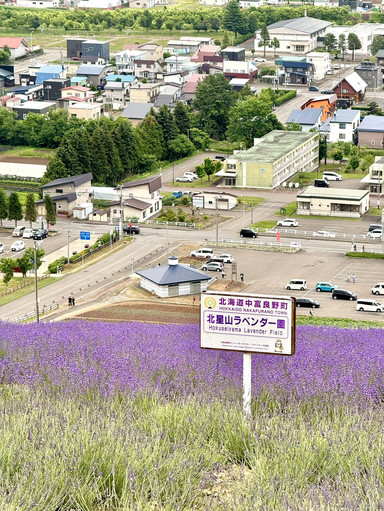 Hokuseiyama Lavender Garden & Single Chairlift in Furano, Hokkaido