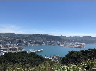 [New Zealand North Island Road Trip] Days 6–8: Exploring the Windy City of Wellington, Vintage Napier, and Heading Straight to Lake Taupo.