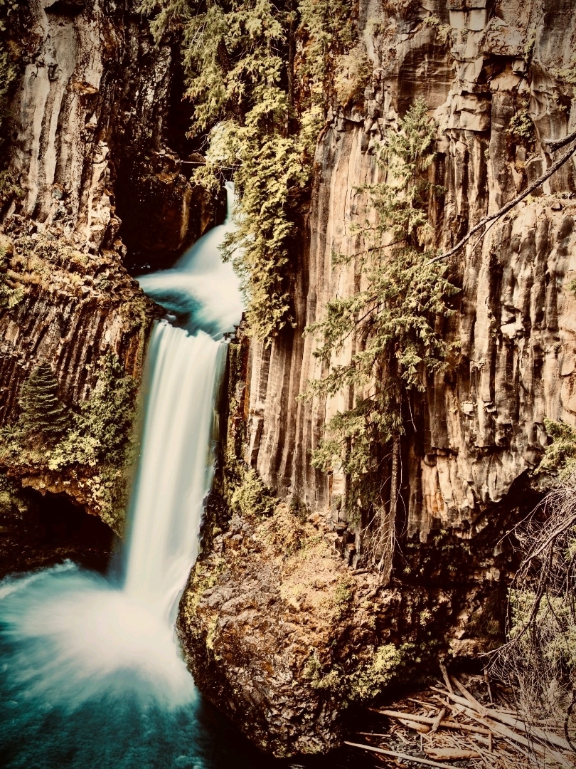 Namibia Fish River Canyon Hobas Mossy Quiver Tree Forest Edgeeasytravelpost