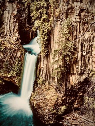 Namibia Fish River Canyon Hobas Mossy Quiver Tree Forest Edgeeasytravelpost